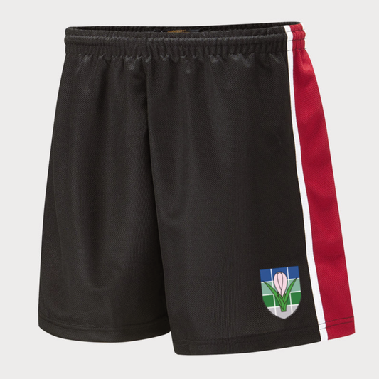 SWCHS Unisex Sports Shorts